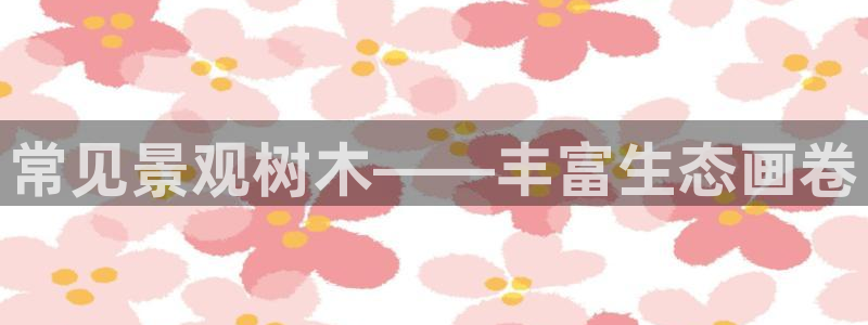 首页摩根娱乐平台