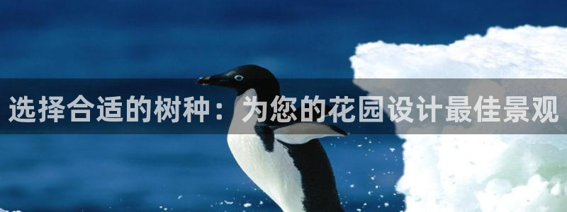 摩根娱乐宝打不开