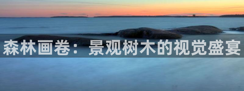 白宫摩根会娱乐会所