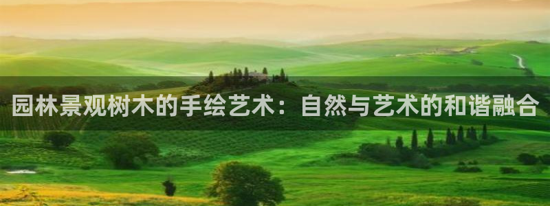 摩根中央公园娱乐