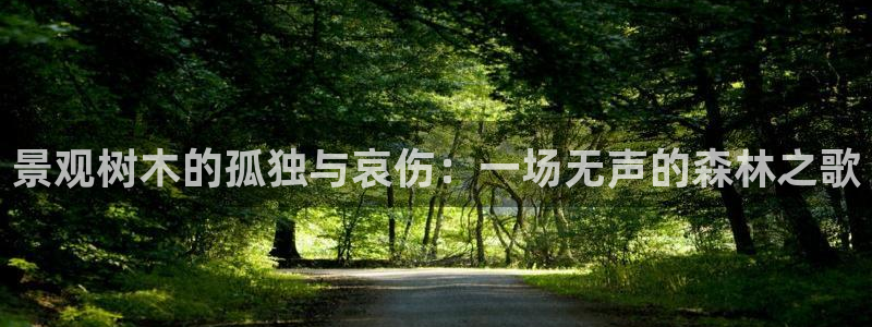 义乌摩根娱乐会所邮箱