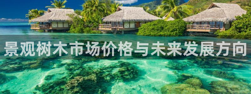 摩根娱乐宝机构代码