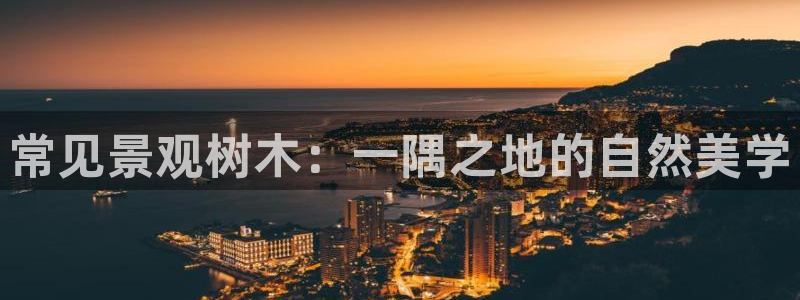 摩根娱乐50186找