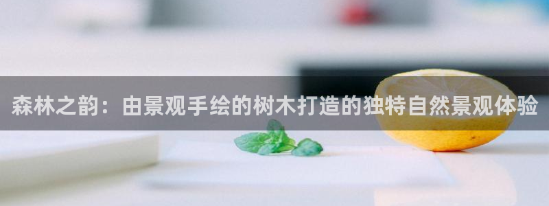 摩根娱乐视频大全