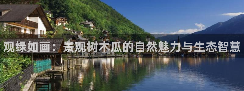 摩根娱乐是什么意思