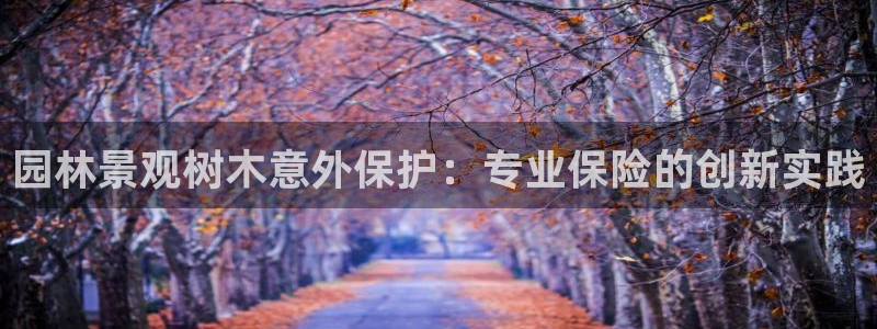 摩根士丹利娱乐