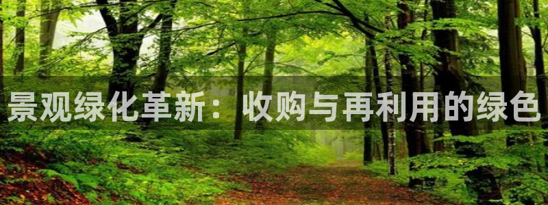 奥飞娱乐摩根调研