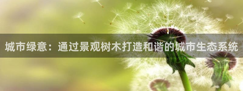摩根娱乐彩票被骗了