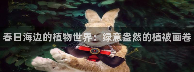 摩根国际娱乐宝在哪里