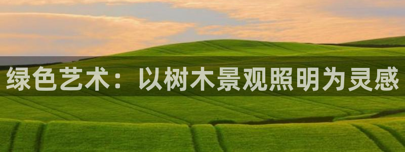 摩根娱乐1老o板50820