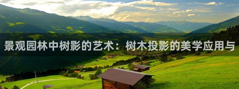 摩根娱乐公会创始人