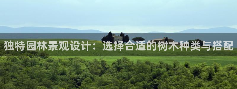 摩根娱乐宝APP下载