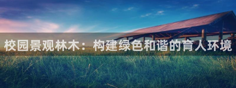 摩根娱乐宝打不开