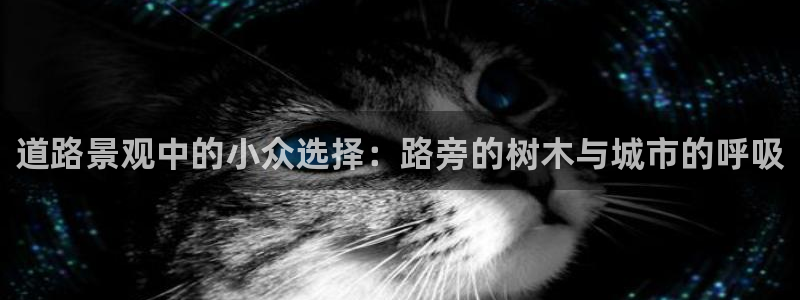 武汉摩根众睿娱乐