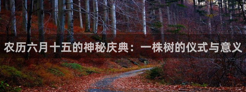 泉州摩根娱乐会所电话地址