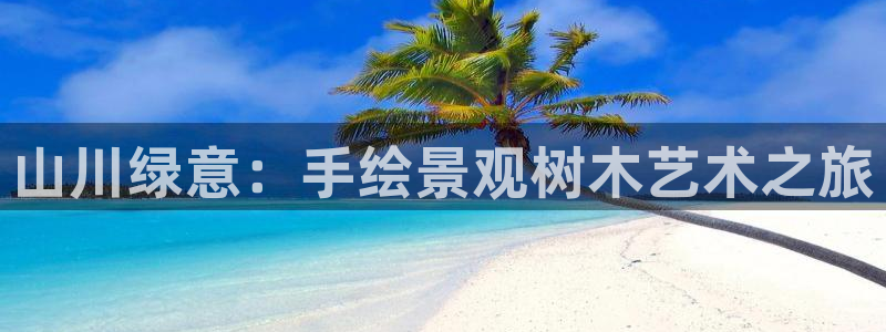 摩根娱乐创始人