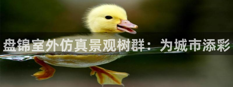 摩根娱乐宝诈骗