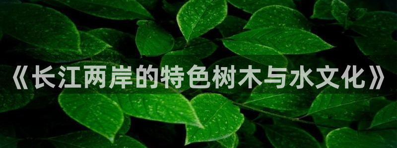 摩根娱乐宝是什么意思
