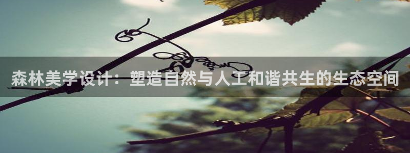 亚瑟摩根娱乐的地方