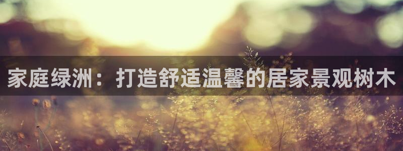 摩根 娱乐宝诈骗