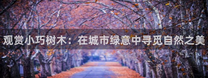 柬埔寨西港摩根娱乐