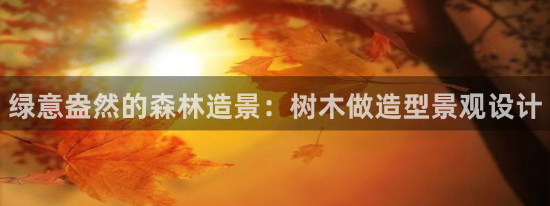 摩根娱乐文化有限公司