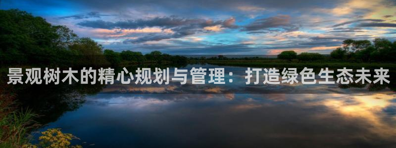 摩根兄弟进军娱乐圈