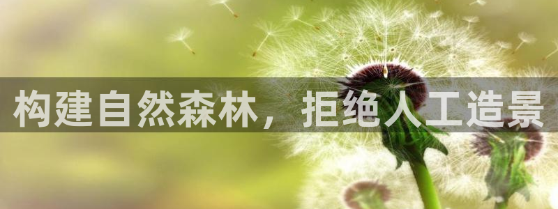 摩根娱乐挂机项目怎么样