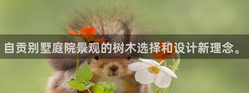 南阳市摩根娱乐