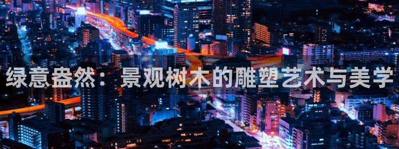 摩根大通投资娱乐公司