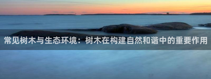 摩根士丹利娱乐