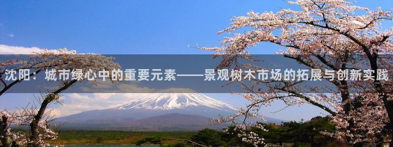 摩根娱乐1老H板50820