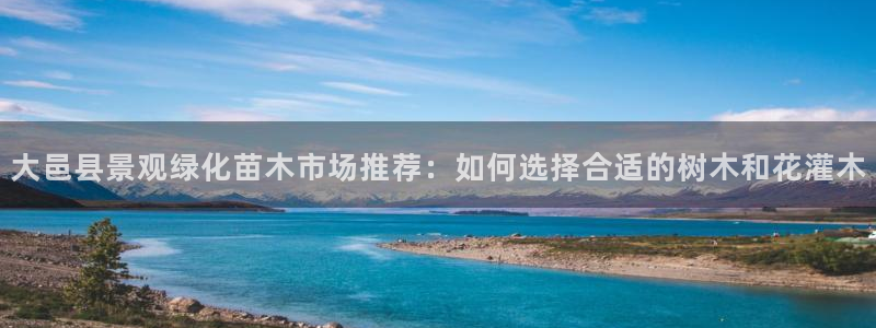 义务摩根娱乐会所