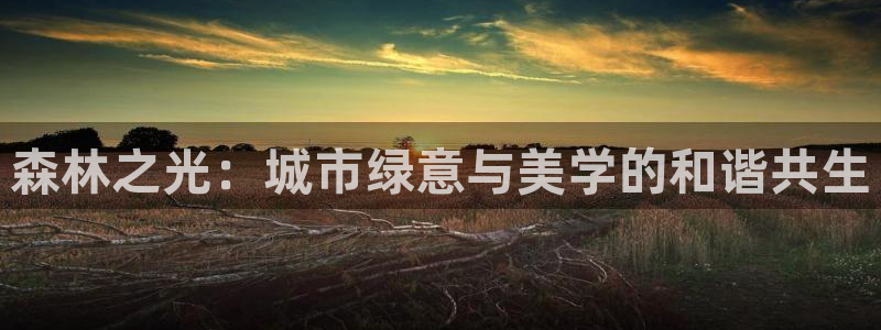 义乌摩根娱乐会所图片