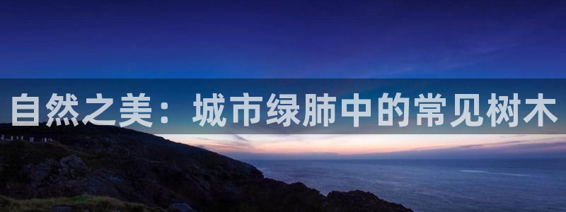 摩根时代资阳娱乐场所