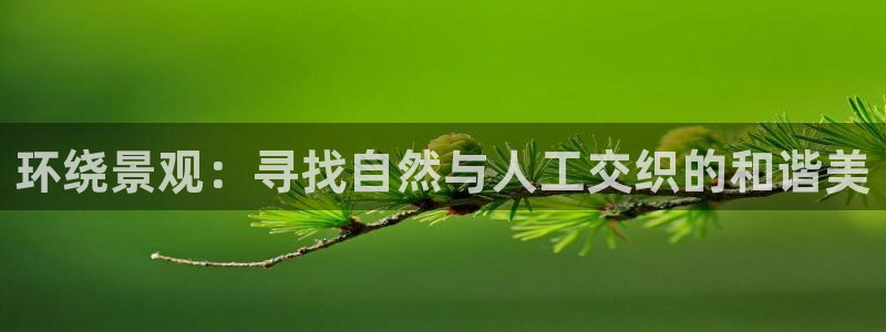 摩根100娱乐会所