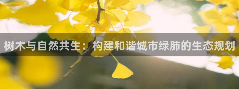 义乌摩根娱乐会所收费