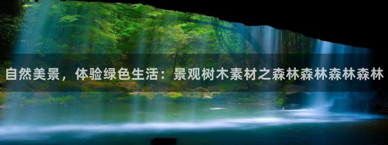 摩根国际娱乐宝在哪里