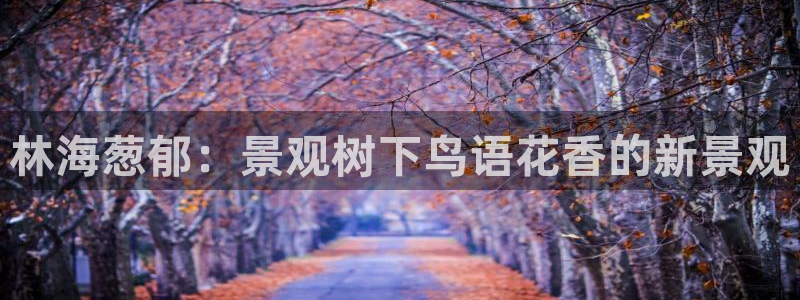 泉州摩根会娱乐张桂花