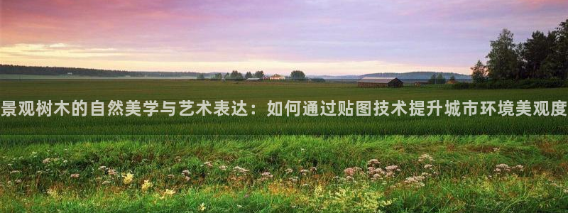 摩根娱乐1老H板50820