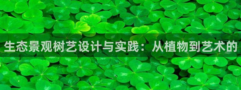 摩根娱乐宝 知道吗