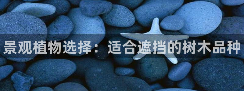 摩根娱乐这个平台怎么样