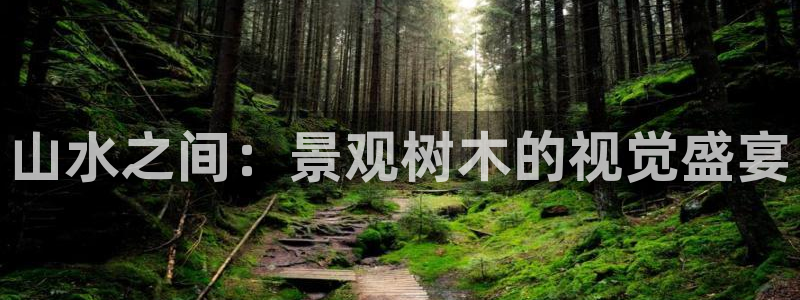 摩根兄弟进军娱乐圈