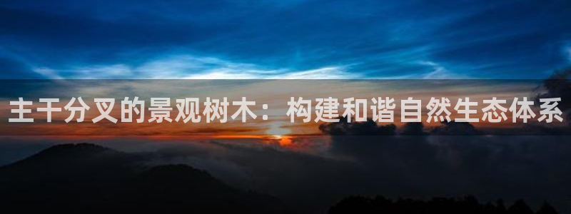 摩根娱乐50186选择