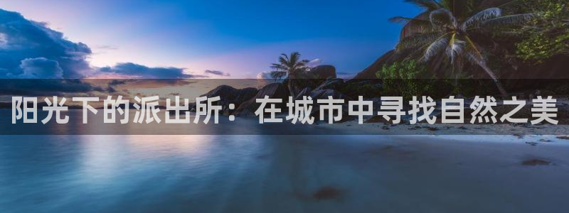 摩根娱乐宝怎么盈利