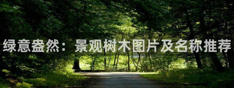 摩根娱乐公会创始人