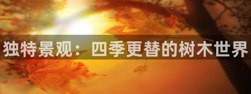 摩根娱乐宝收益怎么样