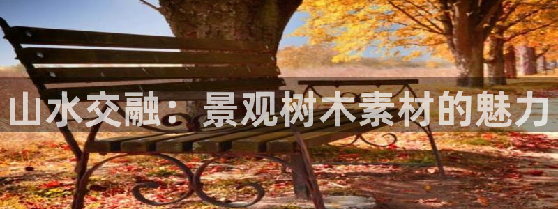 义乌摩根娱乐消费多少