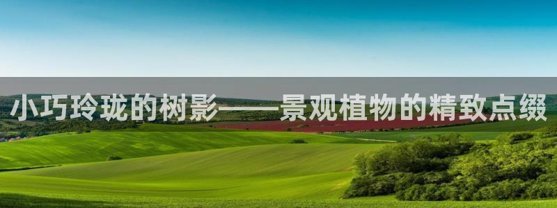 摩根国际娱乐宝