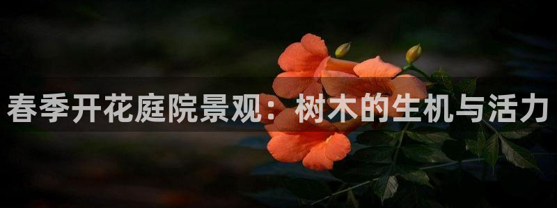 摩根娱乐团：春季开花庭院景观：树木的生机与活力